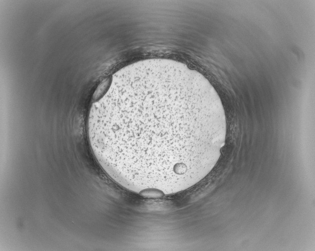 X0000115250708200911271905