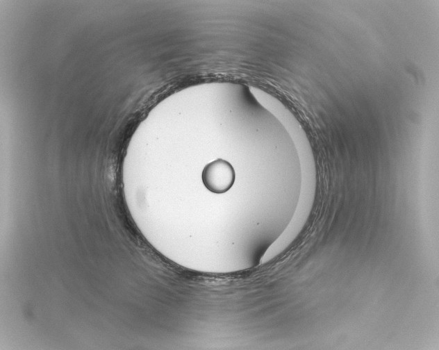 X0000115250709200911271905