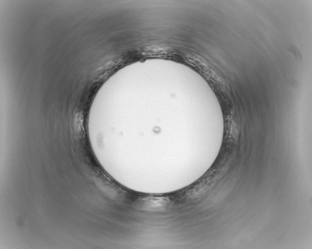 X0000115250711200911271905