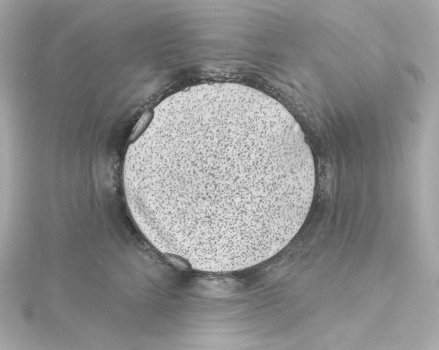 X0000115250712200911271905