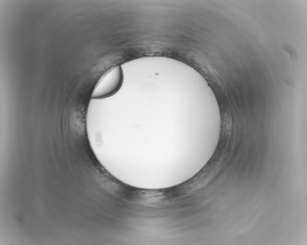 X0000115250719200911271904