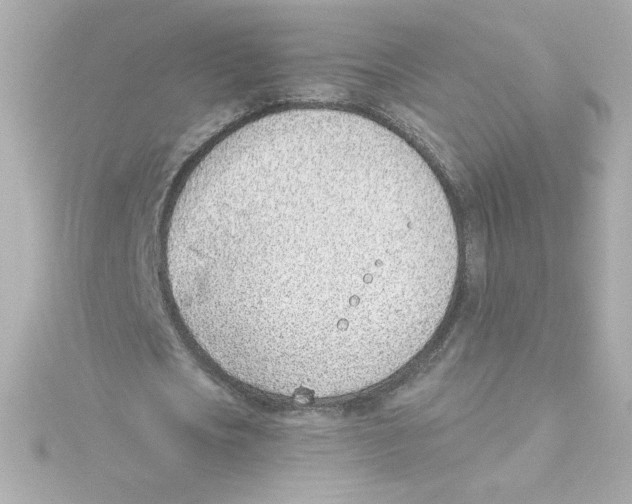 X0000115250721200911271904