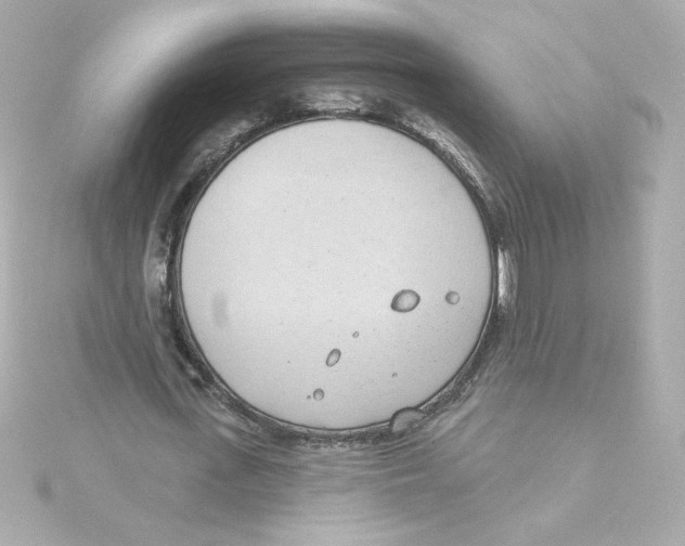 X0000115250723200911271904