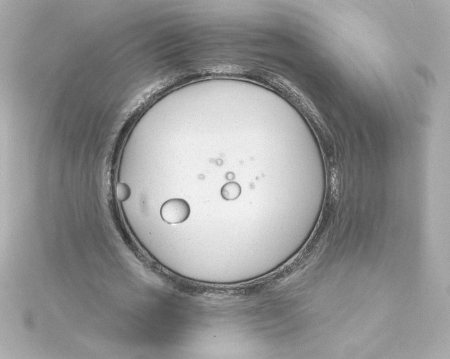 X0000115250725200911271904