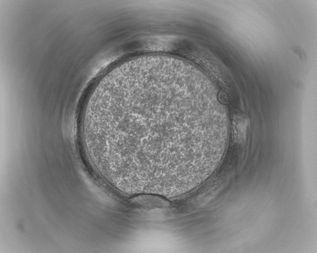 X0000115250726200911271904