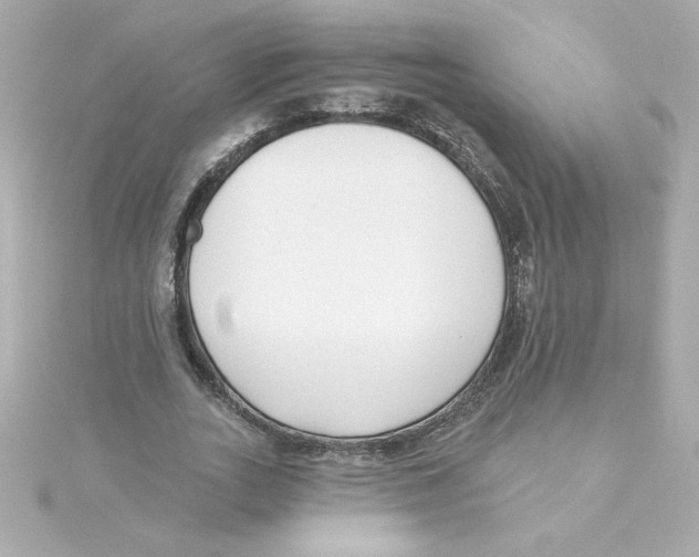 X0000115250727200911271904