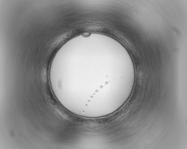 X0000115250729200911271904