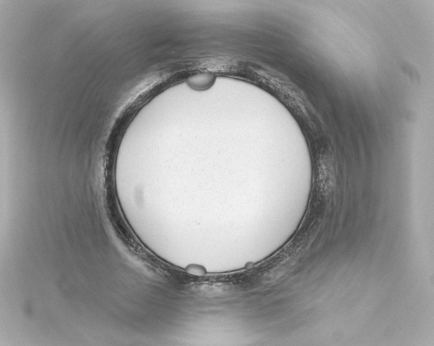 X0000115250730200911271904