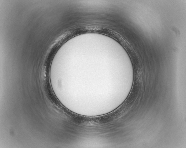 X0000115250731200911271904