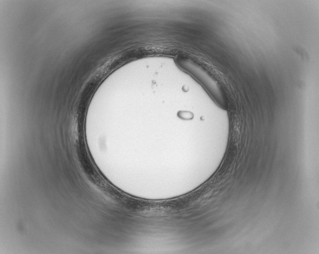 X0000115250734200911271904