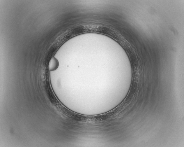 X0000115250738200911271904