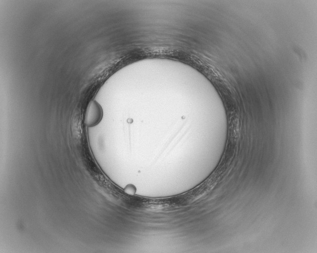 X0000115250746200911271904