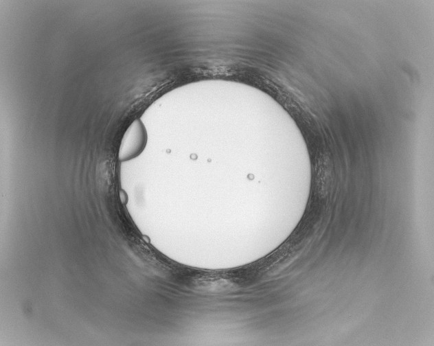 X0000115250747200911271904