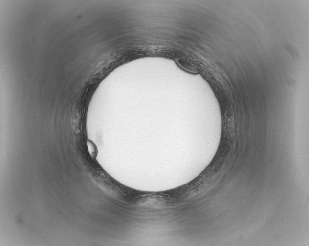 X0000115250750200911271904