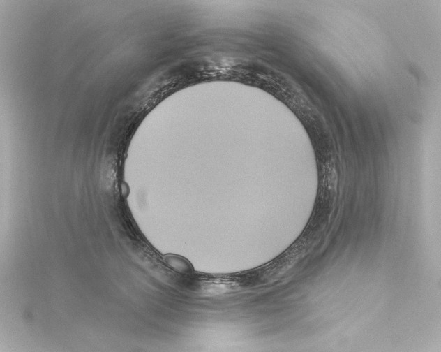 X0000115250754200911271904