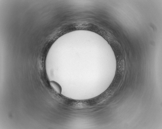 X0000115250755200911271904