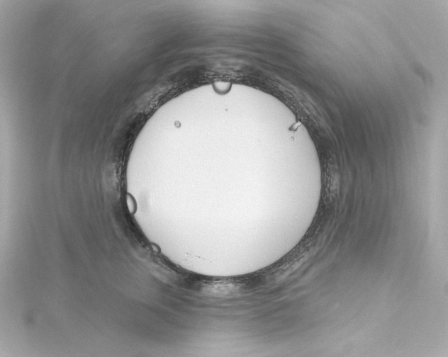 X0000115250759200911271904