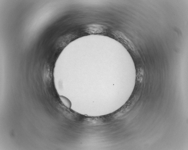 X0000115250763200911271904