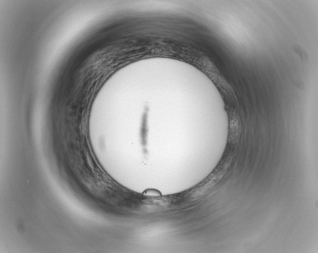 X0000115250765200911271904