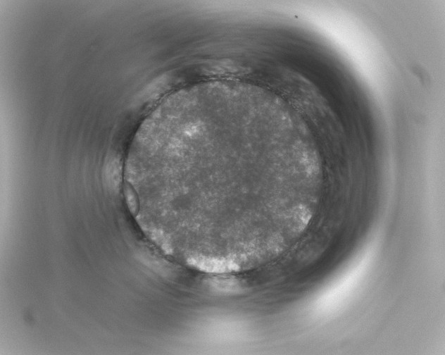 X0000115250767200911271904