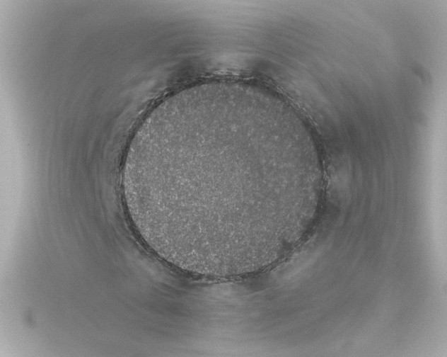 X0000115250769200911271904