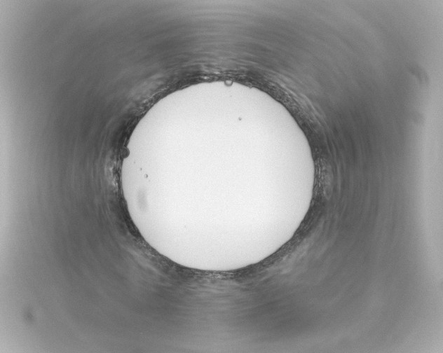 X0000115250770200911271904