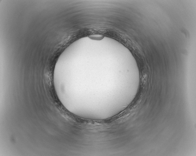 X0000115250772200911271904