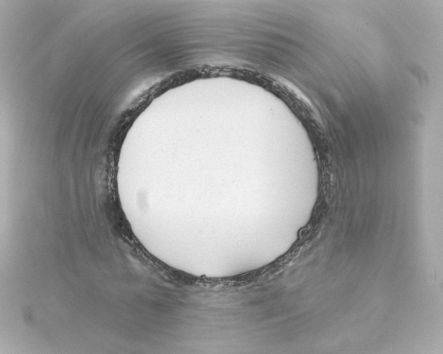 X0000115250775200911271904