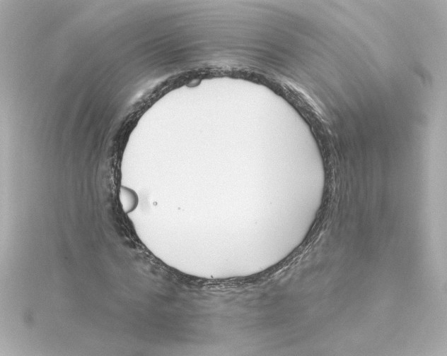 X0000115250776200911271904