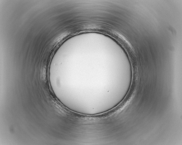 X0000115250777200911271904