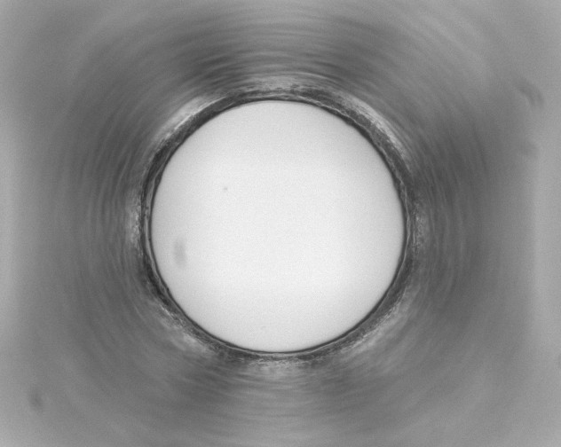 X0000115250778200911271904