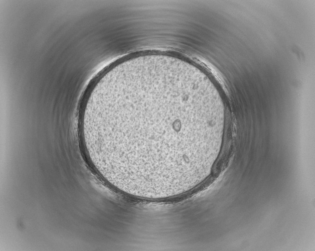 X0000115250779200911271904