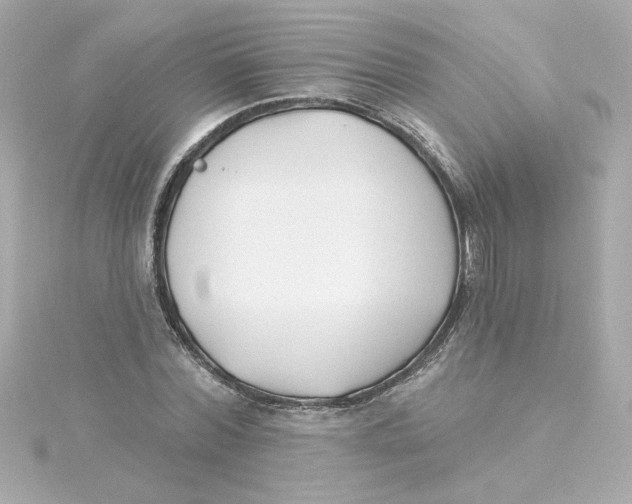 X0000115250780200911271903