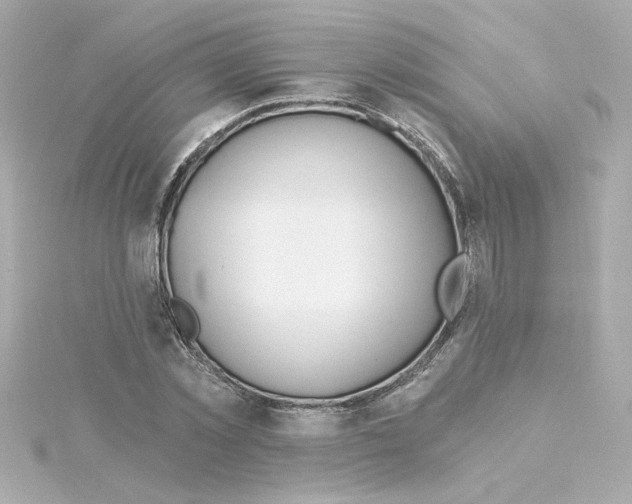 X0000115250781200911271903