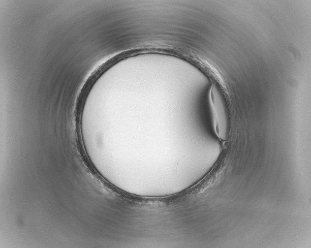 X0000115250784200911271903