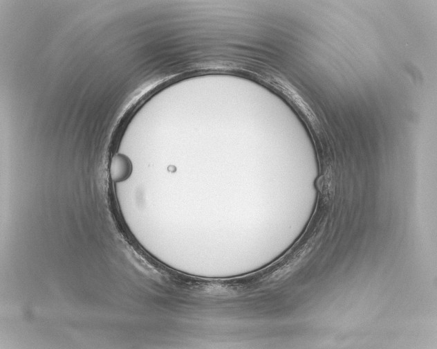 X0000115250787200911271903