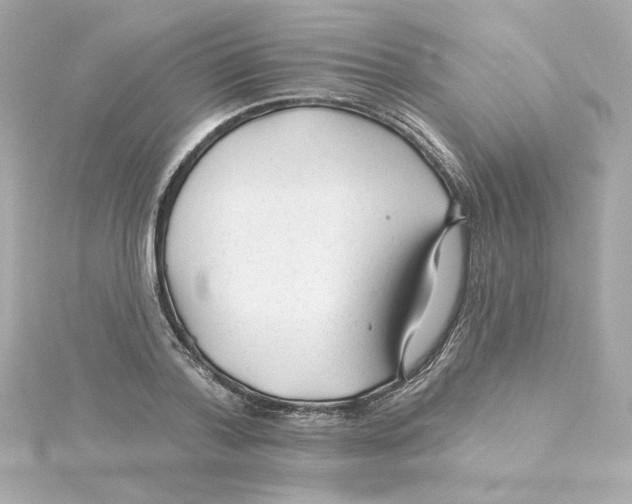 X0000115250788200911271903