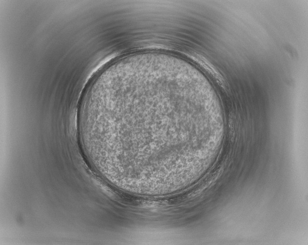 X0000115250790200911271903