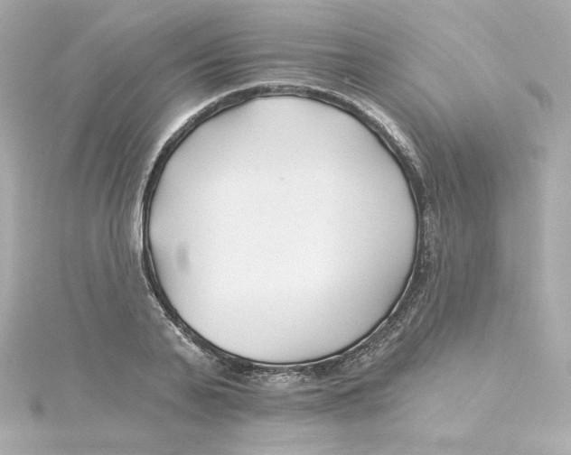 X0000115250791200911271903