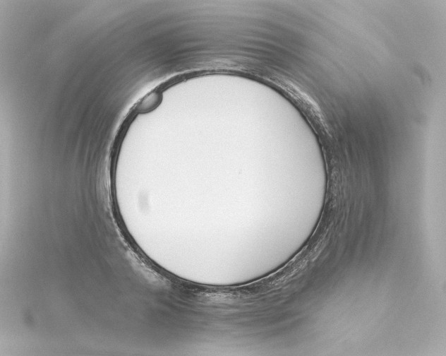 X0000115250792200911271903