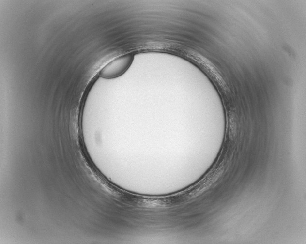 X0000115250794200911271903