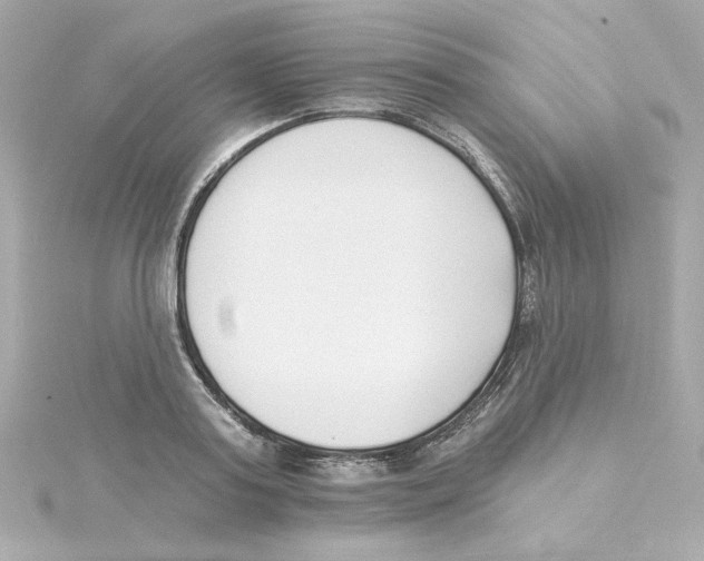 X0000115250795200911271903