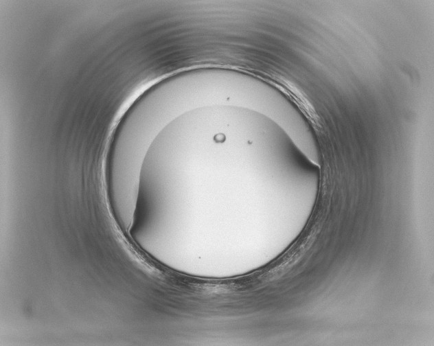 X0000115250796200911271903