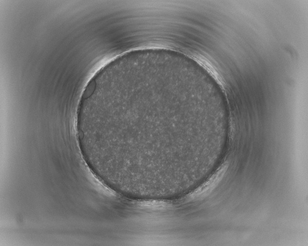 X0000115250797200911271903