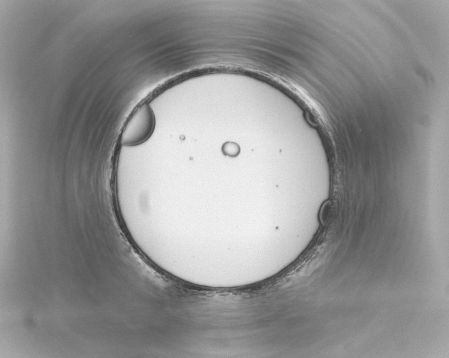 X0000115250799200911271903