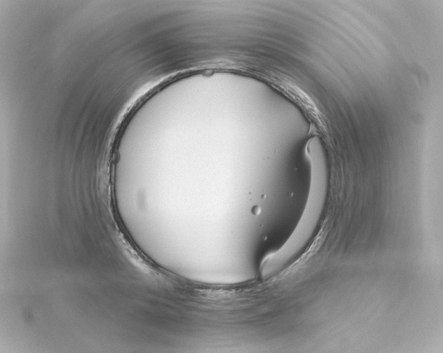 X0000115250800200911271903