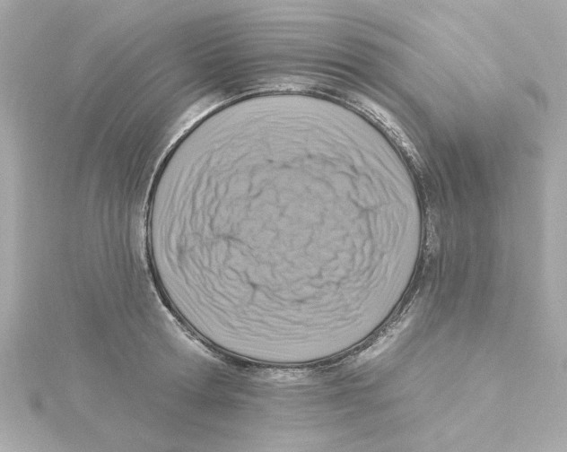 X0000115250802200911271903