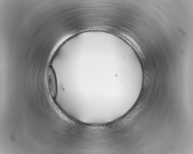 X0000115250804200911271903