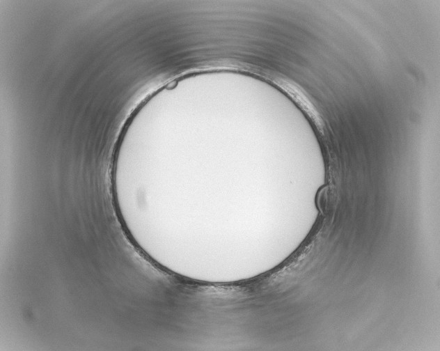 X0000115250805200911271903