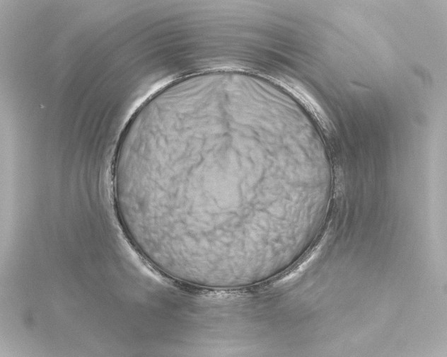 X0000115250806200911271903